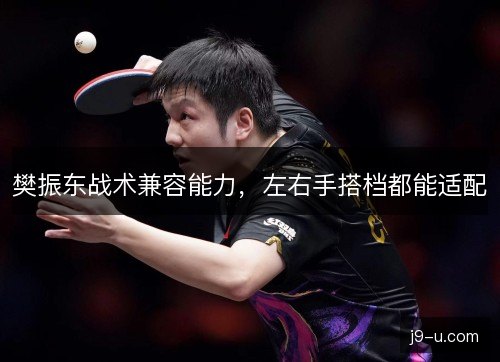樊振东战术兼容能力,左右手搭档都能适配 樊振东战术兼容能力,左右手搭档都能适配
